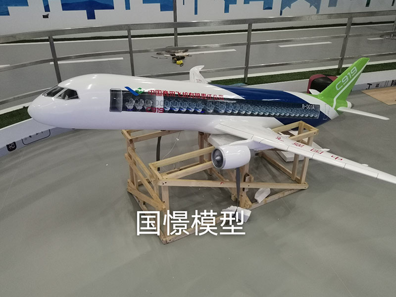 献县飞机模型